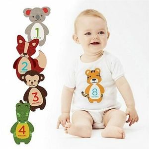 NEW Pearhead First Year Felt Belly Stickers